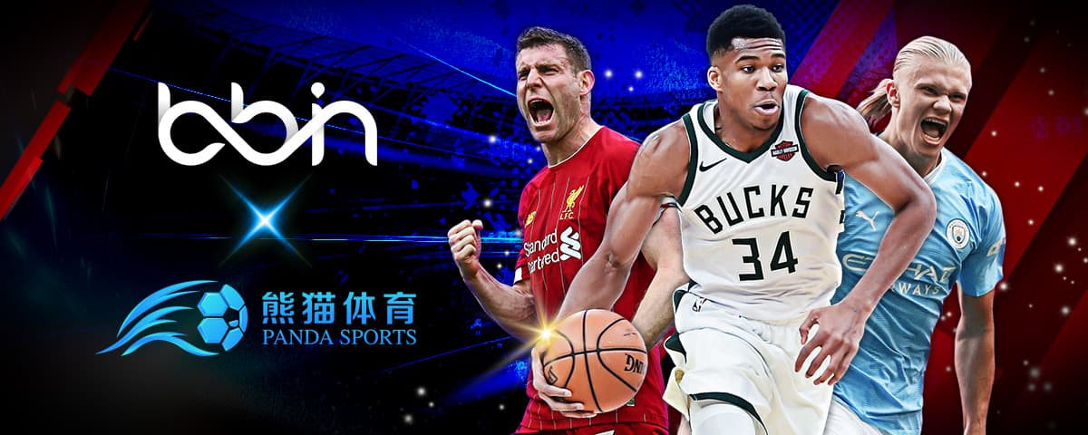 教练对于年